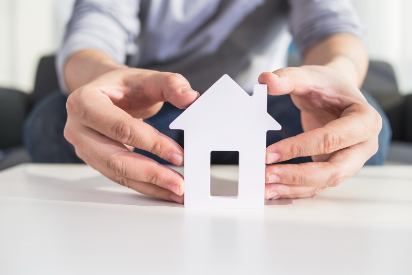 Protection Of Personal Assets One Of The Advantages Of The Single member LLC Legal Knowledge