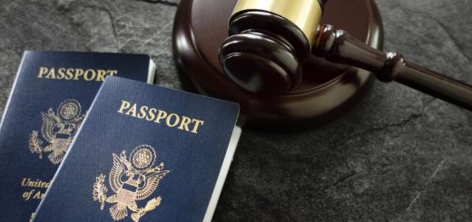 Employer-Sponsored Visas