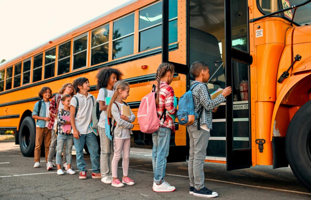 School Charter: 5 Key Legal Obligations Every Organizer Must Know